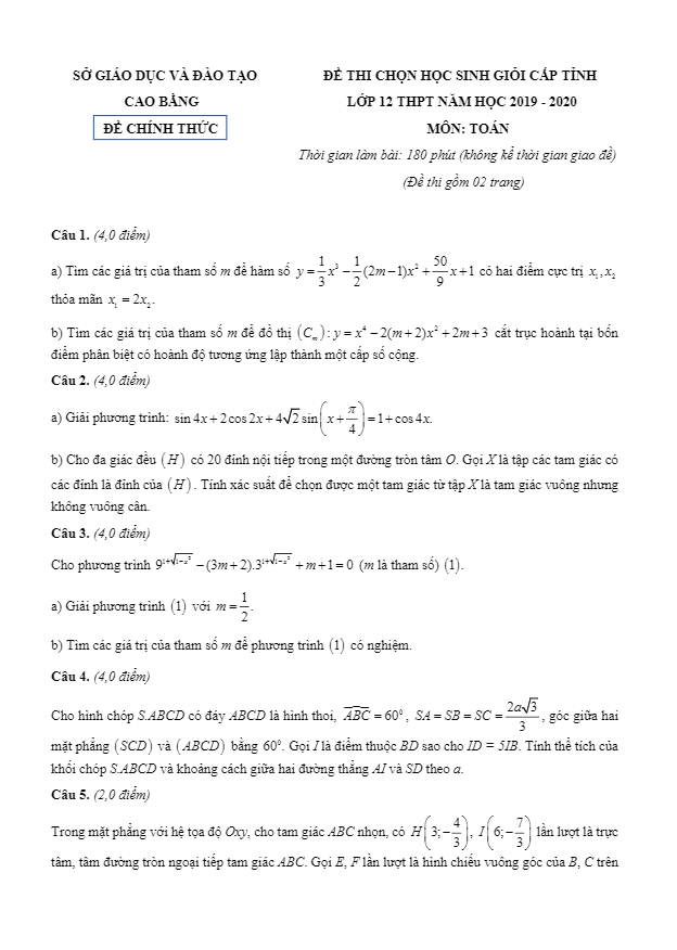 Đề chọn học sinh giỏi tỉnh lớp 12 môn Toán năm 2019 2020 sở GD ĐT Cao Bằng