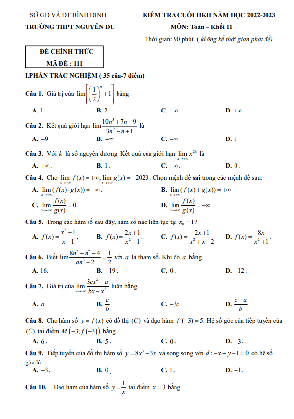 Đề cuối học kì 2 (HK2) lớp 11 môn Toán năm 2022 2023 trường THPT Nguyễn Du Bình Định