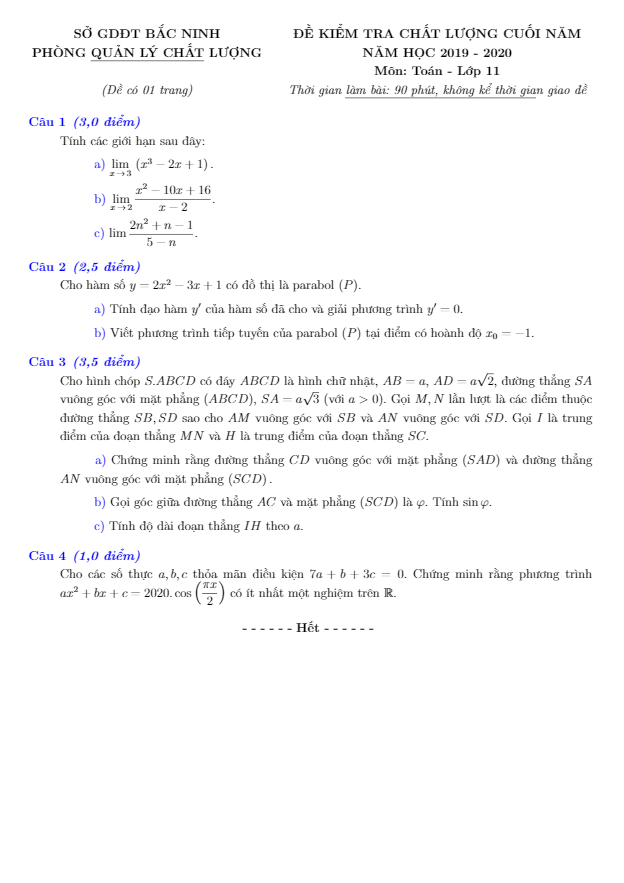 Đề kiểm tra chất lượng lớp 11 môn Toán cuối năm học 2019 2020 sở GD ĐT Bắc Ninh