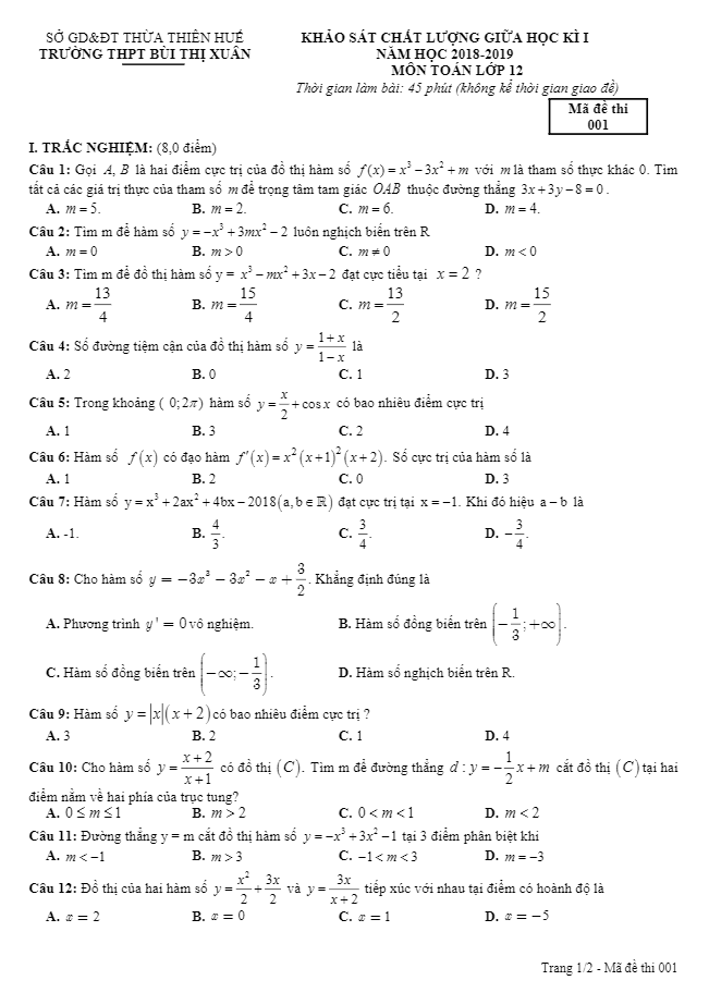 Đề KSCL giữa học kì 1 (HK1) lớp 12 môn Toán năm 2018 2019 trường THPT Bùi Thị Xuân TT. Huế