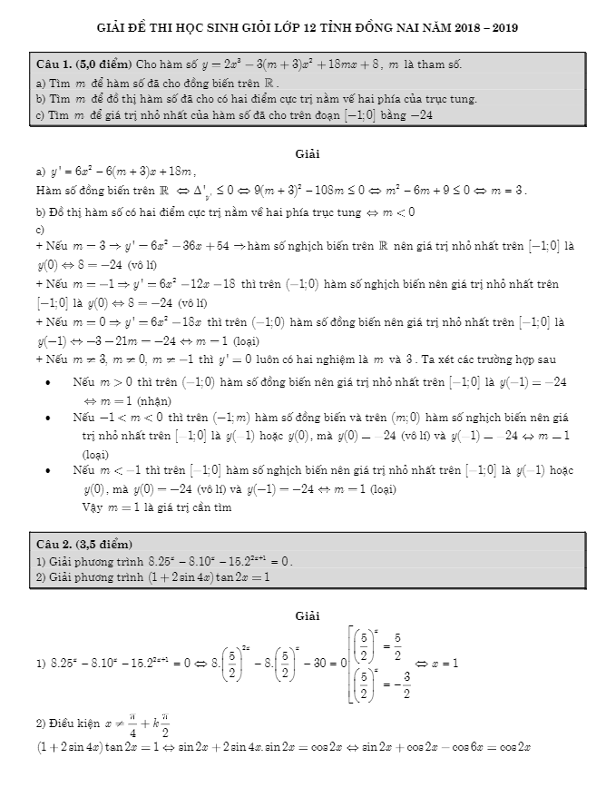 Đề thi chọn HSG lớp 12 môn Toán THPT năm 2018 2019 sở GD ĐT Đồng Nai