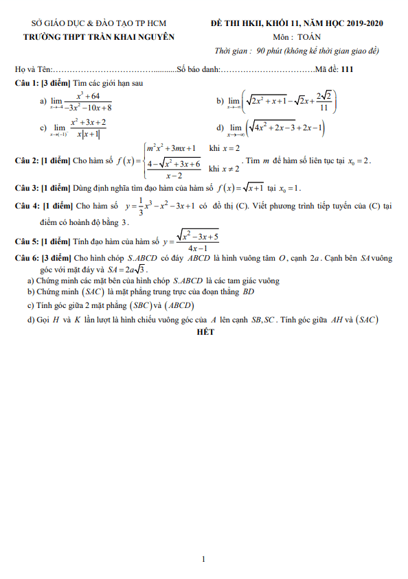 Đề thi học kì 2 (HK2) lớp 11 môn Toán năm 2019 2020 trường THPT Trần Khai Nguyên TP HCM