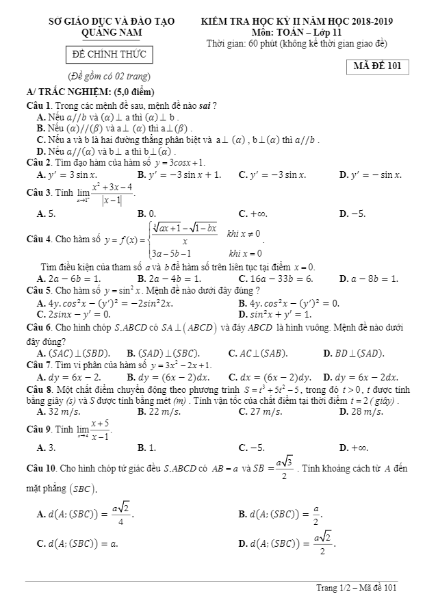 Đề thi học kì 2 (HK2) lớp 11 môn Toán năm học 2018 – 2019 sở GD và ĐT Quảng Nam