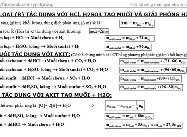 Ôn tập Hóa 11 - Nắm vững kiến thức trước kỳ thi