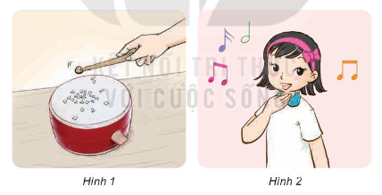 Rắc một ít vụn giấy (hoặc vụn xốp) lên mặt trống. Gõ vào mặt trống (Hình 1). Quan sát và mô tả chuyển động của các vụn giấy.