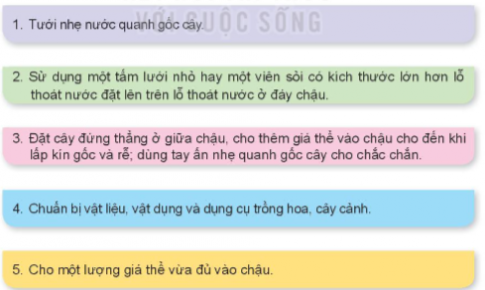 Em hãy sử dụng các thẻ gợi ý dưới đây và sắp xếp đúng thứ tự các bước trồng hoa, cây cảnh trong chậu