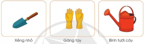 Dựa vào các hình gợi ý dưới đây, hãy kể tên những vật liệu, vật dụng và dụng cụ cần thiết để gieo hạt, trồng cây con trong chậu