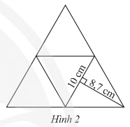 Giải Thực hành 1 trang 50 sách giáo khoa (SGK) toán lớp 8 tập 1 Chân trời
