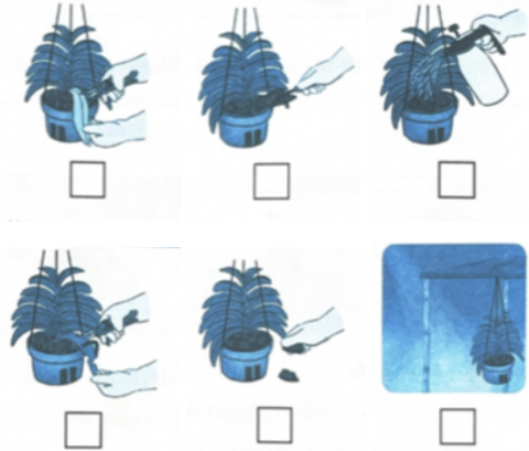 Em hãy điền số vào ô dưới mỗi hình sao cho đúng với thứ tự các bước chăm sóc hoa và cây cảnh trong chậu. Em hãy viết tên các bước vào chỗ trống dưới mỗi hình sao cho phù hợp.