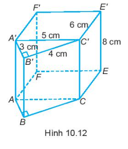 Giải bài tập 10.15 trang 67 sách bài tập (SBT) toán lớp 7 tập 2 kết nối