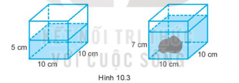 Giải bài tập 10.6 trang 63 sách bài tập (SBT) toán lớp 7 tập 2 kết nối