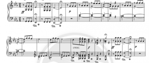 Giải bài tập 14 trang 28 sách bài tập (SBT) âm nhạc 7 chân trời sáng tạo