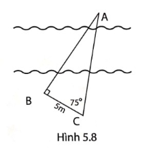 Giải câu 2 trang 83 sách phát triển năng lực toán lớp 9 tập 1