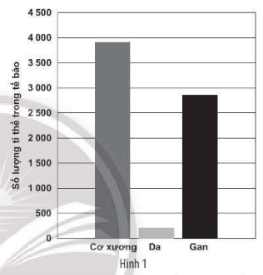 2. Biểu đồ Hình 1 mô tả số lượng ti thể trong một số tế bào ở người. Giải thích nào sau đây là phù hợp?