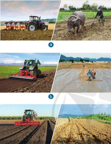  Quy trình trồng trọt