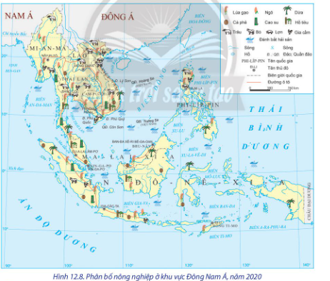 Dựa vào hình 12.7, hình 12.8 và thông tin trong bài, hãy trình bày và giải thích sự phát triển các ngành kinh tế của khu vực Đông Nam Á.