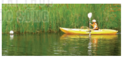 Giải tin học lớp 8 Kết nối bài 8b Phần mềm chỉnh sửa ảnh