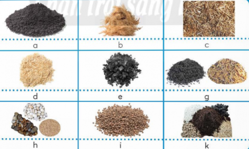 Em hãy điền vào chỗ trống tên gọi của các giá thể trồng hoa và cây cảnh có trong hình dưới đây sao cho phù hợp.