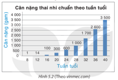 Giải Hoạt động 3 trang 94 sách giáo khoa (SGK) toán lớp 8 tập 1 Kết nối
