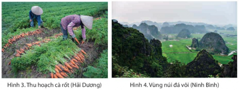 0 - 50m, 50 - 200m và trên 500m. Khu vực nào có diện tích lớn nhất? - Cho biết địa hình có ảnh hưởng như thế nào đến sản xuất và đời sống của người dân vùng Đồng bằng Bắc Bộ.