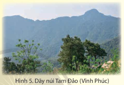 0 - 50m, 50 - 200m và trên 500m. Khu vực nào có diện tích lớn nhất? - Cho biết địa hình có ảnh hưởng như thế nào đến sản xuất và đời sống của người dân vùng Đồng bằng Bắc Bộ.