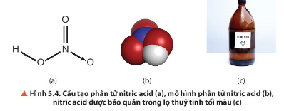  Quan sát hình 5.4 a cho biết liên kết hóa học giữa các nguyên tử trong phân tử HNO3 thuộc loại liên kết gì.
