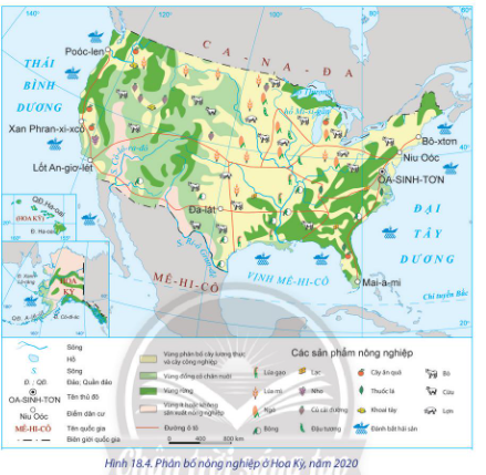 - Tình hình phát triểm ngành nông nghiệp ở Hoa Kỳ. - Sự thay đổi trong sản xuất ngành nông nghiệp theo lãnh thổ của Hoa Kỳ.