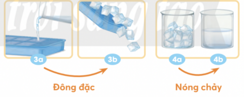 Trong các hình 3a và 3b, 4a và 4b, nước đã chuyển từ thể nào sang thể nào?