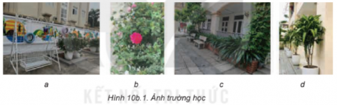 Giải tin học lớp 8 Kết nối bài 10b Thêm văn bản, tạo hiệu ứng cho ảnh