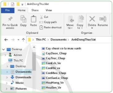 Trong thu mực AnhDongThucVat ở Hình 2, em hãy đổi tên tệp Cay chuoi co la mau xanh thành CayChuoi_Ve