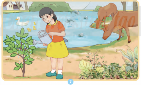 Nước có vai trò gì đối với sinh hoạt hằng ngày của con người? Hãy liệt kê những hoạt động có sử dụng nước trong gia đình em ...