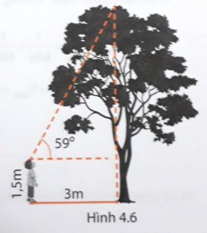 Giải câu 3 trang 77 sách phát triển năng lực toán lớp 9 tập 1