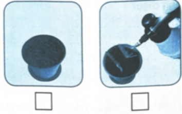 Em hãy điền số vào ô dưới mỗi hình sao cho đúng với thứ tự các bước trồng cây cảnh trong chậu và viết tên vào chỗ trống sao cho phù hợp.