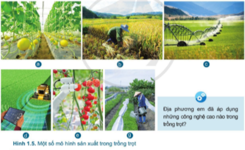 Giới thiệu chung về trồng trọt