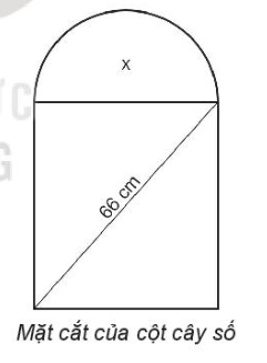 Giải bài tập 6.32 trang 21 sách bài tập (SBT) toán lớp 10 tập 2 kết nối