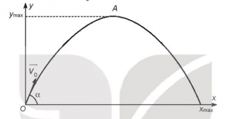 Giải bài tập 6.62 trang 27 sách bài tập (SBT) toán lớp 10 tập 2 kết nối
