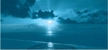 //thanhnien.vn/, ngày 20/4/2022)