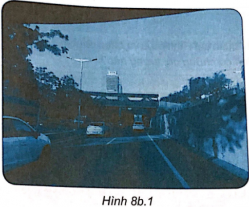 Quan sát bức ảnh trong Hình 8b.1 và trả lời câu hỏi.