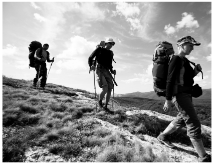 Giải sách bài tập (SBT) tiếng anh lớp 10 Explore new worlds unit 10 Lifestyles Lesson E