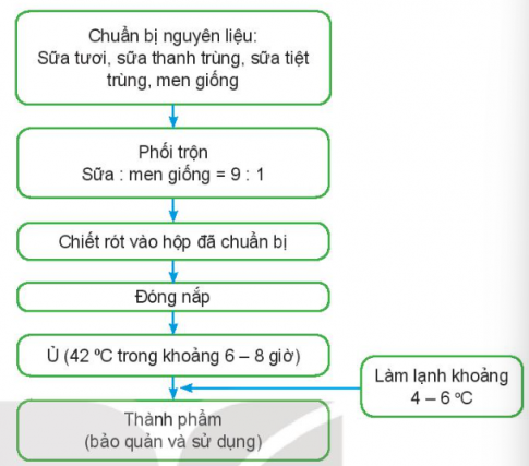 Quan sát Hình 20.7 và mô tả các bước sản xuất sữa lên men