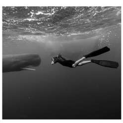 Giải sách bài tập (SBT) tiếng anh lớp 10 Explore new worlds unit 1 People Lesson E