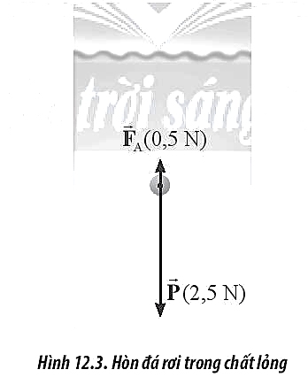 Một hòn đá được thả rơi vào chất lỏng. Sau một khoảng thời gian, người ta quan sát thấy hòn đá chuyển động thẳng đều. Khi đó, các lực tác dụng lên vật được biểu diễn như Hình 12.3.