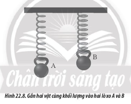 Một học sinh thực hiện thí nghiệm như Hình 22.8 để đo độ cứng của hai lò xo A và B có cùng chiều dài tự nhiên.