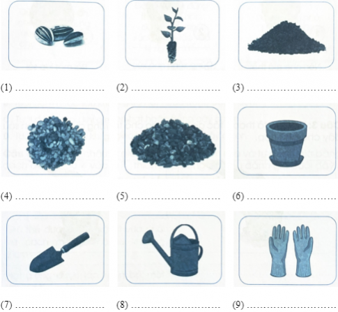 Điền tên của các vật liệu, vật dụng, dụng cụ cần thiết để gieo hạt và trồng cây con trong chậu vào chỗ trống dưới các hình sau đây.