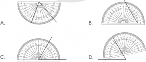 Giải bài tập 1 trang 123 vở bài tập (VBT) toán lớp 4 tập 1 Cánh diều