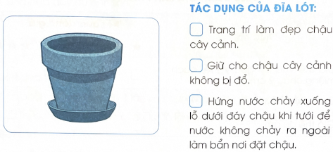 Đánh dấu ✓ vào ô trống trước đáp án đúng về tác dụng của đĩa lót dưới đáy chậu như trong hình dưới đây.