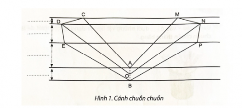 Bài tập 2. Điền kích thước phù hợp vào hình mô tả cánh và thân chuồn chuồn thăng bằng. AC = AM = … OD = ON = … BE = BP = … CM = MB = …