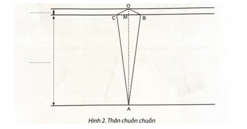 Bài tập 2. Điền kích thước phù hợp vào hình mô tả cánh và thân chuồn chuồn thăng bằng. AC = AM = … OD = ON = … BE = BP = … CM = MB = …