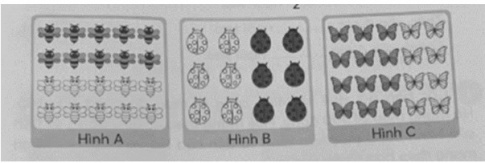 Khoanh vào hình đúng