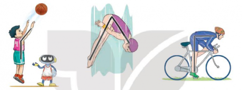 Giải bài tập 1 trang 31 sách giáo khoa (SGK) toán lớp 4 tập 1 Kết nối